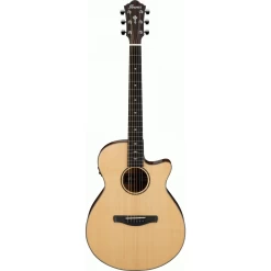 Ibanez AEG200 Natural Low Gloss AEG Acoustic Guitar