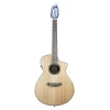 Breedlove ECO Collection Discovery Series Concert CE Nylon Red Cedar African Mahogany -musical instrument BL DSCCERTC N 1.png