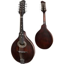 Eastman - MD304 A-Style With Oval Hole Mandolin - Spruce - Classic -musical instrument MD304 A Style BCL1 0416.jpg