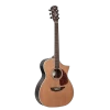 SGW S650OMNS - Orchestra Electric/acoustic Guitar. 1 SGW S650OMNS - Orchestra Electric/acoustic Guitar. -musical instrument S650OMNS.png