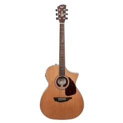 SGW S650OMNS - Orchestra Electric/acoustic Guitar. -musical instrument S650OMNS Front.png