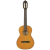 Valencia - VC262 260 Series ½ Size Classical Guitar Antique Natural. -musical instrument VC262.png