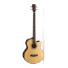 Cort SJB5F Acoustic / Electric Bass Guitar In Gig Bag -musical instrument cort sjb5f ns
