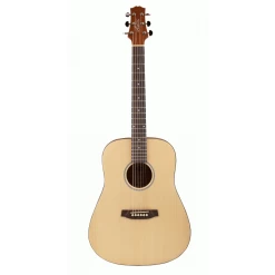 Ashton D20S Solid Top Acoustic Guitar -musical instrument d20sntm 1