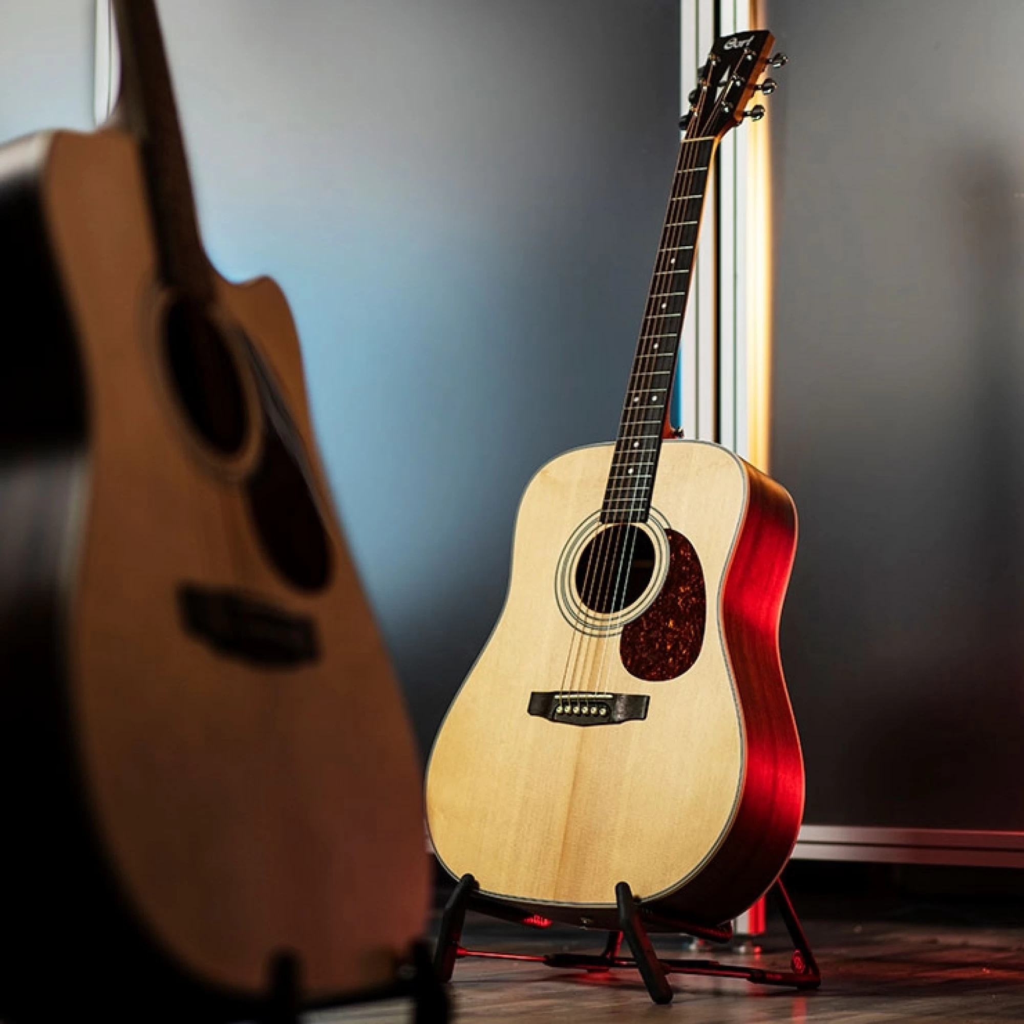 Cort Earth 70 Acoustic Guitar Pack 8 Cort Earth 70 Acoustic Guitar Pack - Image 6