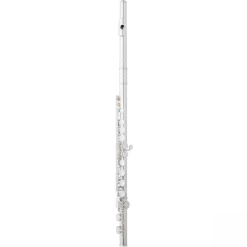 Eastman EFL214SE-CO Student Flute