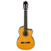 Ibanez GA6CE Classical Guitar -musical instrument ga6ce am 2y 03