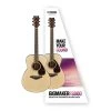 Yamaha GIGMAKER FS800 Acoustic Guitar Pack