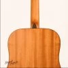 Ashton D20S Solid Top Acoustic Guitar -musical instrument image 2238