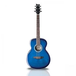 Ashton SL29 Acoustic Guitar