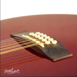 Ashton SL29/12CEQ 12-String Acoustic Electric Guitar - Tobacco Sunburst -musical instrument image 7229