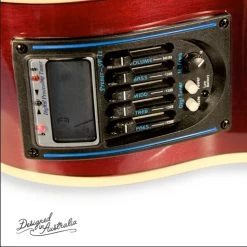 Ashton SL29/12CEQ 12-String Acoustic Electric Guitar - Tobacco Sunburst -musical instrument image 7233