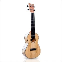 Ashton UKE500SPM Ukulele