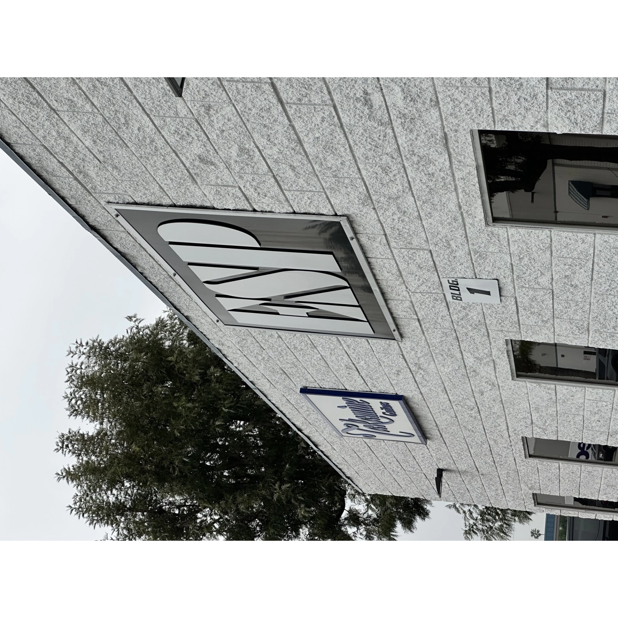 ESP USA Horizon Flame Maple Red 16 ESP USA Horizon Flame Maple Red - Image 14