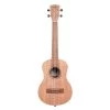 Kala KA-20T Burled Meranti Tenor Ukulele