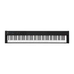 Korg D1 Digital Piano