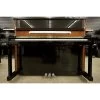 Beale UP121Z Upright Piano In Ebony Camphor Burl -musical instrument mg 4747