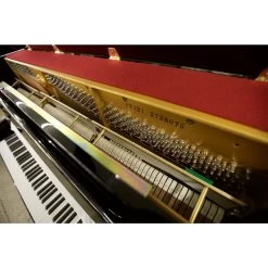 Beale UP121Z Upright Piano In Ebony Camphor Burl -musical instrument mg 4754