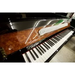 Beale UP121Z Upright Piano In Ebony Camphor Burl -musical instrument mg 4755
