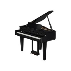 Roland GP-6 Digital Grand Piano In Ebony