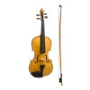 Stentor Harlequin Series 3/4 Size Violin In Metallic Gold 1 Stentor Harlequin Series 3/4 Size Violin In Metallic Gold -musical instrument s2444gd 2