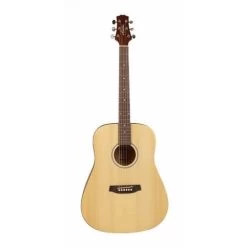 Ashton D20 NTM Acoustic Guitar - In Hardcase