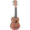 Stagg Mahogany Concert Ukulele In Case 2 Stagg Mahogany Concert Ukulele In Case -musical instrument stagg uc30 pack