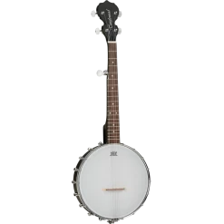 Tanglewood TWBT 5 String Traveller Banjo