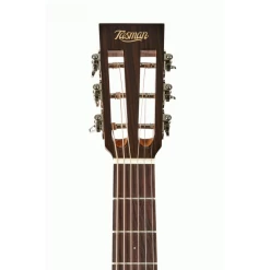 Tasman TA100P-E Parlour Acoustic Electric Guitar With Case -musical instrument tas ta100pe 2