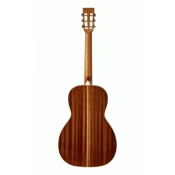 Tasman TA100P-E Parlour Acoustic Electric Guitar With Case -musical instrument tas ta100pe 3