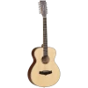 Tanglewood TW12 Winterleaf Folk Acoustic 12-String 2 Tanglewood TW12 Winterleaf Folk Acoustic 12-String -musical instrument tw12